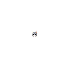 Squishy Beanies - Sneaky Raccoon - Beanie Games