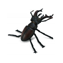 Stag Beetle - Beanie Games