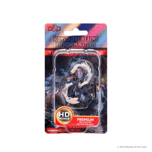 Tiefling Male Sorcerer D&D Icons of the Realms Premium Figures (v2) - Beanie Games