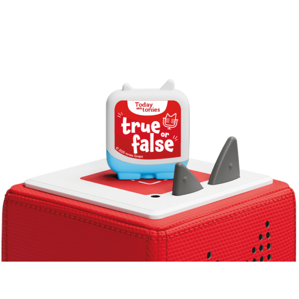 Today With Tonies: True or False - Beanie Games