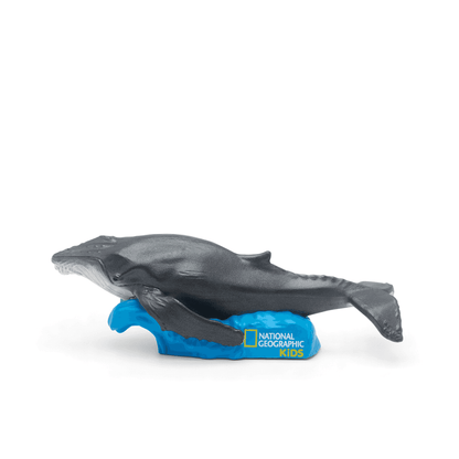 Tonies: National Geographic - Whale - Beanie Games