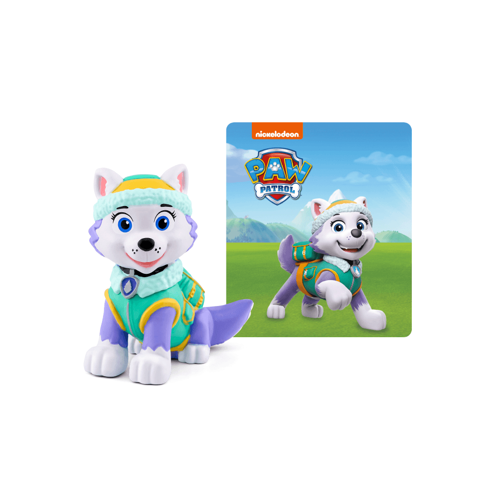 Paw Patrol Everest