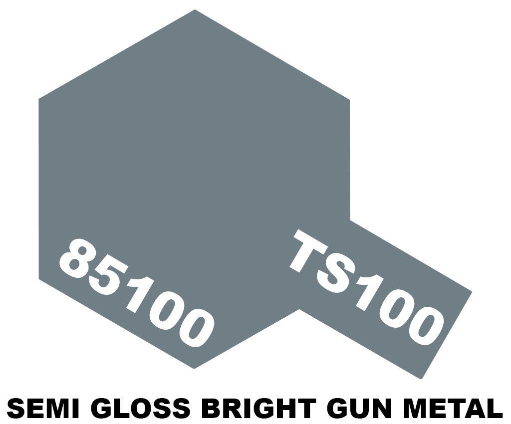 TS - 100 Semi Gloss Bright Gun Metal (Store Pickup Only) - Beanie Games