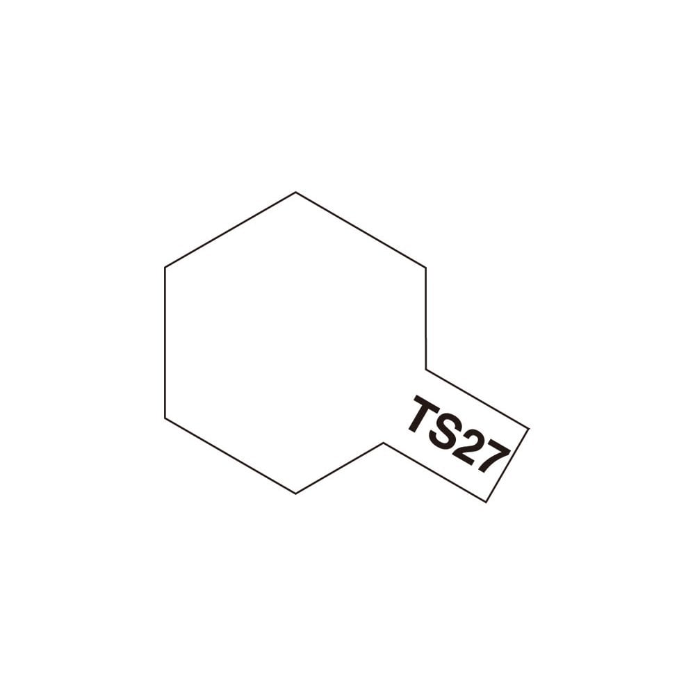 Ts - 27 Matt White Spray Paint (Store Pickup Only) - Beanie Games