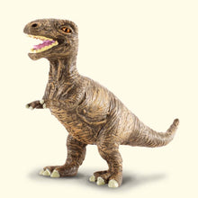 Tyrannosaurus Rex Baby - Beanie Games