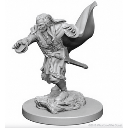 Vampires: D&D Nolzur's Marvelous Unpainted Miniatures (W1) - Beanie Games