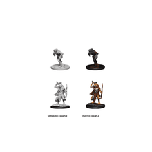 Wererat & Weretiger: D&D Nolzur's Marvelous Unpainted Miniatures (W11) - Beanie Games