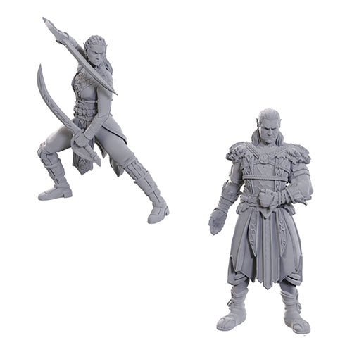 Wizkids - D&D Nolzurs Marvelous Miniatures: Special Edition Baldurs Gate 3 - Jaheira & Halsin - Beanie Games