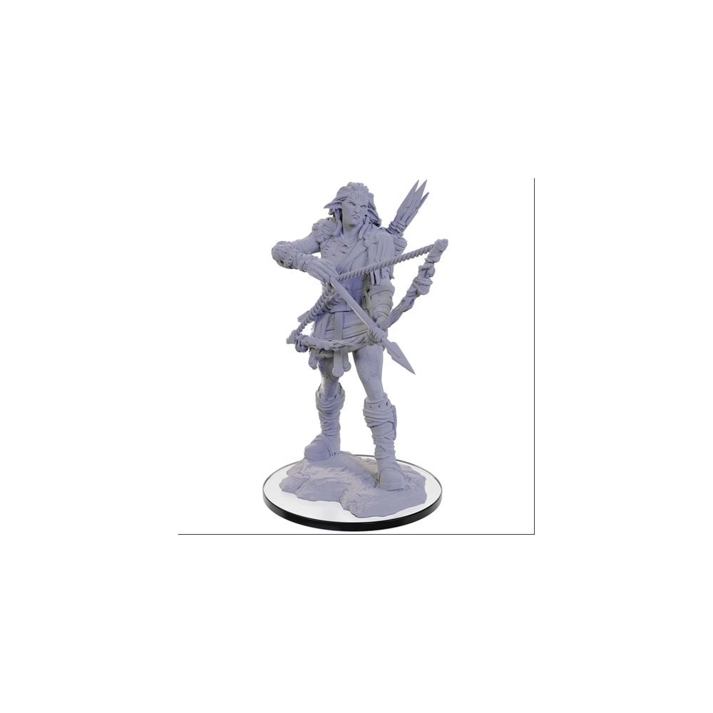 Wood Giant: D&D Nolzur's Marvelous Unpainted Miniatures (W22) - Beanie Games