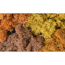 Woodland Scenics: Autumn Mix Lichen - Beanie Games