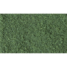 Woodland Scenics: Dark Green Coarse Turf (Bag) - Beanie Games