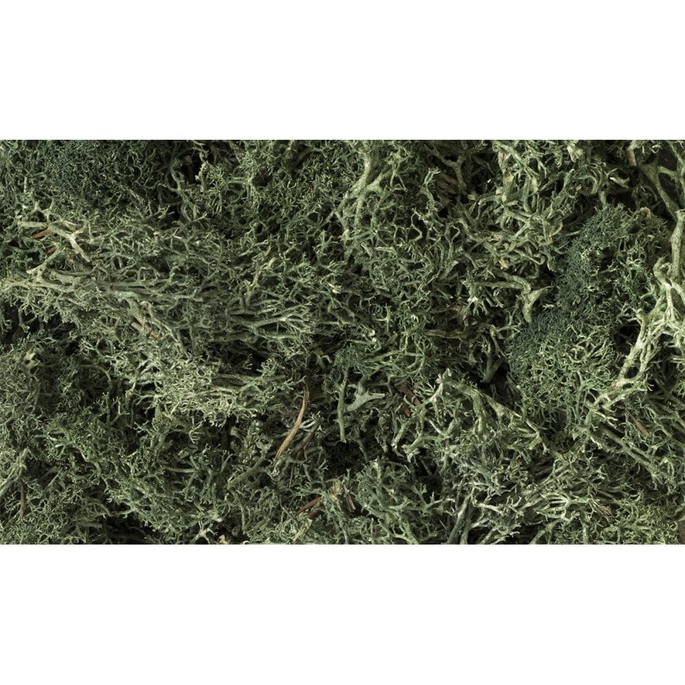 Woodland Scenics: Dark Green Lichen - Beanie Games
