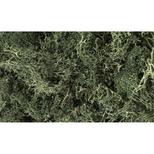 Woodland Scenics: Dark Green Lichen - Beanie Games