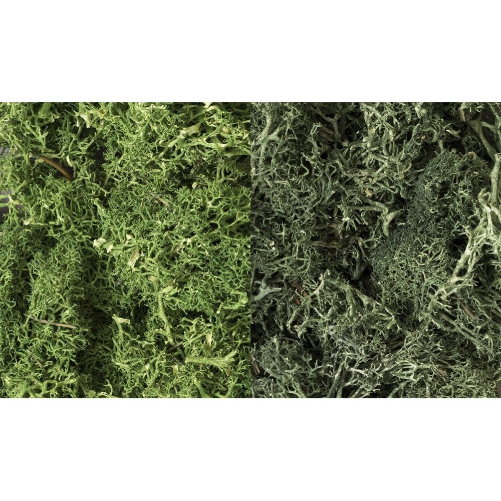 Woodland Scenics: Dark Green Mix Lichen - Beanie Games