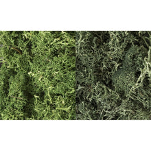 Woodland Scenics: Dark Green Mix Lichen - Beanie Games