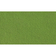 Woodland Scenics: Green Grass Fine Turf (Bag) - Beanie Games