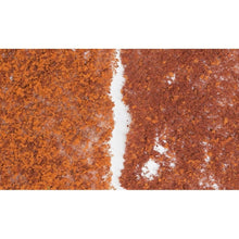 Woodland Scenics: Late Fall Mix Foliage - Beanie Games