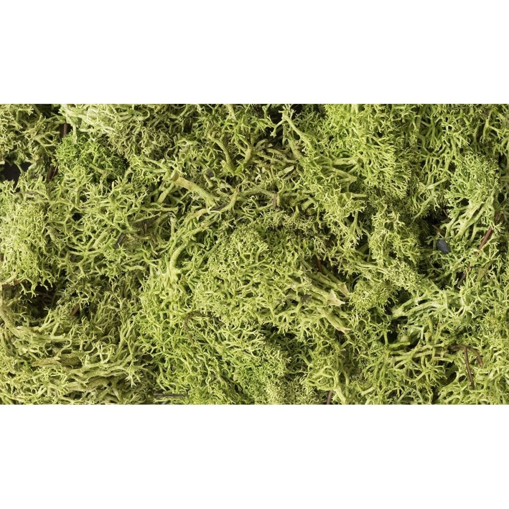 Woodland Scenics: Light Green Lichen - Beanie Games