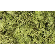 Woodland Scenics: Light Green Lichen - Beanie Games