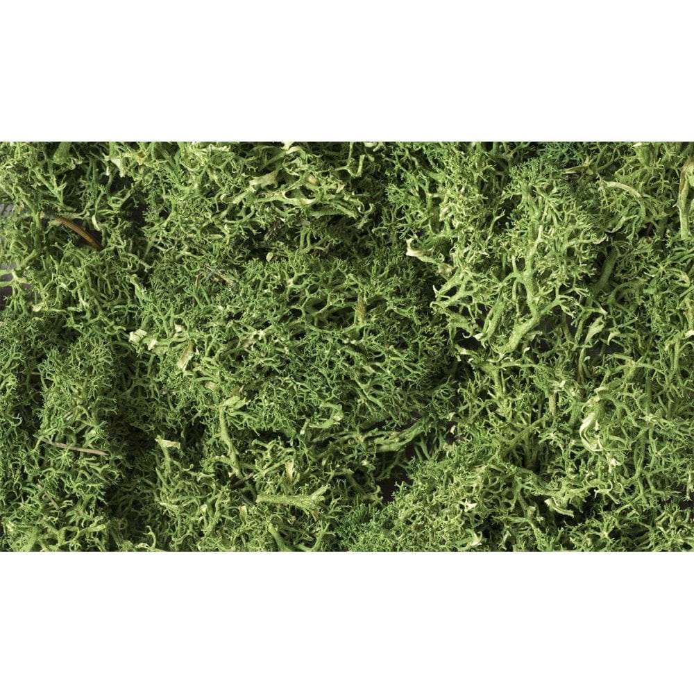 Woodland Scenics: Medium Green Lichen - Beanie Games