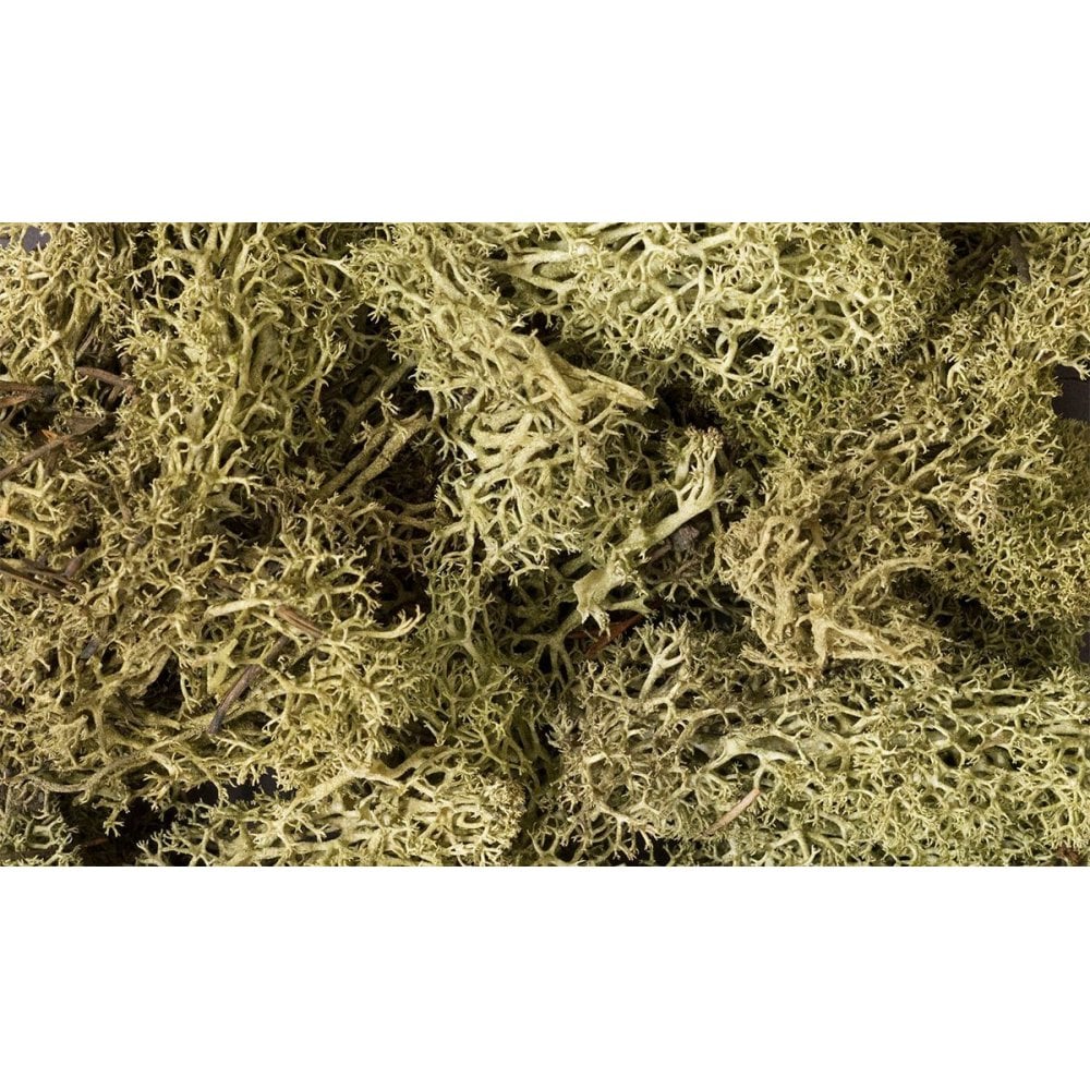 Woodland Scenics: Spring Green Lichen - Beanie Games